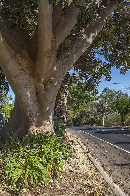 Stoneleigh Cottage Bed And Breakfast Angaston Exteriör bild